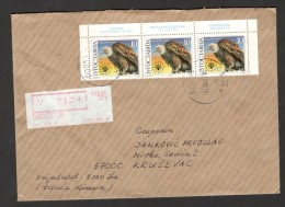 YUGOSLAVIA, CROATIA, SERBIA-VALUE LETTER WITH OFFICIAL POSTER STAMPS-BIRDS-EAGLE-1990. - Afstempelingen & Vlagstempels