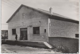 NOYELLES Sur MER  LA COOPERATIVE  LA LABORIEUSE - Noyelles-sur-Mer