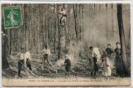 CPA 95 FORET DE CARNELLE INCENDIE D UN TAILLIS AU POTEAU DE VIARMES - Viarmes