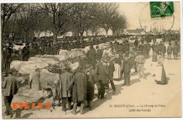 Baugy - Le Champ De Foire - Coté Des Boeufs - Marché Aux Bestiaux - 18 Cher - Baugy