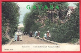 93 ROMAINVILLE - Chemin De Montreuil - Vue Du Petit-Bois - Romainville