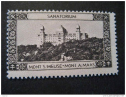 MONT S/MEUSE A/MAAS Sanatorium TB Tuberculosis Tuberculose Antituberculeux Green Poster Stamp Vignette BELGIUM Label - Erinnofilie [E]