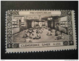 CLEMSKERKE S/MER A/ZEE Plage Preventorium Tuberculosis Tuberculose Health Sante Poster Stamp Vignette BELGIUM Label - Erinnophilie [E]