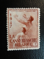 1947 La Canne Blanche Vignette Poster Stamp Label Belgium - Erinnofilie [E]