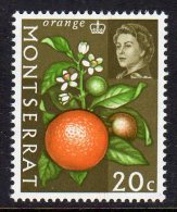 MONTSERRAT - 1969 20c ORANGE W12 SIDEWAYS FINE MNH ** SG220 - Montserrat