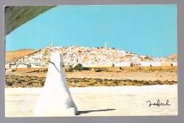 Ghardaïa. Vue Générale. (Voir Commentaires) - Ghardaia