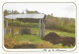 Cpsm: 974 ILE DE LA REUNION - Alambic De Géranium Dans Les Hauts De SAINT PAUL  N° 16 - Saint Paul