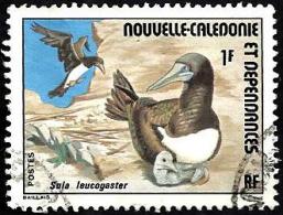 NEW CALEDONIA  BIRD SULA LAUCOGASTER SET OF 1 1 FRANC USED 1980's SG561 READ DESCRIPTION !! - Gebruikt