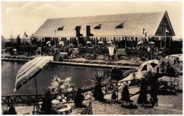 Nederland/Holland, Alphen Aan De Rijn, Avifauna, Vijver, Restaurant, 1954 - Alphen A/d Rijn