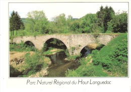La Salvetat Sur Agout (d'Agot-Hérault)-1988-Le Pont Romain De St.Etienne-Parc Naturel Du Hut Languedoc-Cachet Brassac - La Salvetat