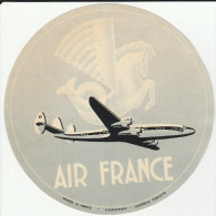 DOC2) ETICHETTA PER BAGAGLI LABEL FOR LUGGAGE AIR FRANCE 1954 CIRCA - Sonstige & Ohne Zuordnung