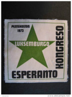 LUXEMBOURG 1973 ESPERANTO Luksemburgo Pentekoston Poster Stamp Label Vignette Viñeta - Autres & Non Classés