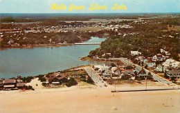 262265-Delaware, Silver Lake, Looking West, Aerial View, Snyder & Rodgers By Dexter Press No 20525-C - Sonstige & Ohne Zuordnung