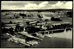 Stegen / Ammersee  -  Hafen Ammersee-Flotte  -  Ansichtskarte Ca. 1960   (5578) - Herrsching