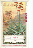 ACHAT DIRECT < ALOÉS < GENRE Des LILIACÉES - ALOES PLANTE MEDICINALES - PUBLICITE CHOCOLAT D´AIGUEBELLE - DOS SCANNE - Plantas Medicinales