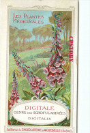 DIGITALE < GENRE Des SCROFULARINÉES - DIGITALIS PLANTE - PLANTES MEDICINALES - PUBLICITE CHOCOLAT AIGUEBELLE - SCAN DOS - Plantas Medicinales