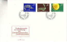 Liechtenstein - Lettre FDC De 1971 - Arts - Briefe U. Dokumente