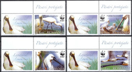 ROMANIA, 2006, Platalea Leucorodia, Worldwide Fund For Nature, W.W.F., WWF, Bird, Set Of 4 + Label, MNH (**), LPMP 1744a - Ongebruikt