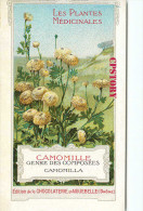 CAMOMILLE < GENRE Des COMPOSEES CAMOMILLA - PLANTE - PLANTES MEDICINALES - PUBLICITE CHOCOLAT AIGUEBELLE - SCAN DOS - Plantes Médicinales