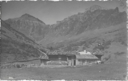 Milchkurort Spielboden Bei Mürren - Schilthorn - Photo O. Nikles - Carte Noir Et Blanc Mate, Dentelée, Non Circulée - Mürren