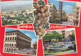 Velletri - Multiview - Grapes 1973 - Velletri