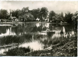 58 - Guérigny ; étang De Bizy. - Guerigny