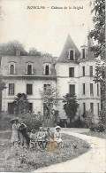 82 - TARN ET GARONNE - MONTCLAR DE QUERCY - Chateau De La Seiglal - Montclar De Quercy