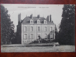 41 - NEUNG Sur BEUVRON - Villa Saint-Léon. - Neung Sur Beuvron