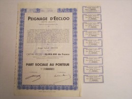 Peignage D'Eecloo - Part Ociale Au Porteur - Tessili