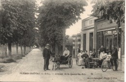 94 - LE PLESSIS TREVISE - Avenue De La Queue En Brie - Le Plessis Trevise