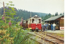 Erezee (tram - Erezée