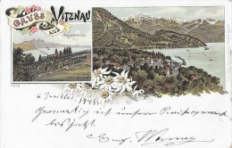 Gruss Aus Vitznau 1898 - Schnurtobelbrücke - Panorama - Edelweiss - Edition Gebr Metz - Carte Précurseur - Vitznau