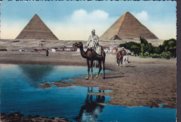 Egypte CPA Pyramids Of Giza Camel & Donkey PAR AVION Line & Censor Cds. LUXOR 1958 STOCKHOLM Sweden (2 Scans) - Guiza