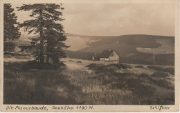 AK Riesengebirge Planurbaude Bouda Na Plani Planurbauden Bei Spindlermühle Spindleruv Mlyn Krausebauden Labska Hohenelbe - Sudeten