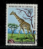 (cl.12 - P.20) Cameroun Ob N° 635 (ref. Michel Au Dos) - Girafes - - Giraffen