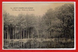 THEME --  GRENOUILLES -- Saint Pierre Les Elbeuf --  La Mare Aze - Pêche à La Grenouille - Autres & Non Classés