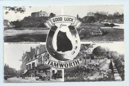 Tamworth - Multiview - Other & Unclassified