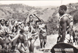 Afrique - South Africa - Zulu Wedding Dance - Zoulou - Valley Of 1000 Hills - Nu Danse Mariage - Guerrier - Afrique