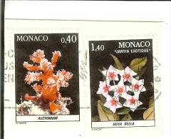 Monaco - Oblitéré Année 1982 - 2 Timbres : Alcyonium 0.40 - Hoya Bella N° 1306 - Gebruikt
