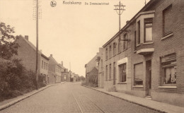 KOOLSKAMP - De Zwevezeelstraat - Ardooie