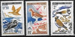 San Pierre E Miquelon: Uccelli Diversi, Diverses Oiseaux, Different Birds - Albatrosse & Sturmvögel