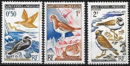 San Pierre E Miquelon: Uccelli Diversi, Diverses Oiseaux, Different Birds - Albatros & Stormvogels