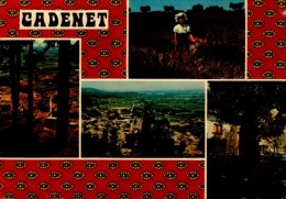 84-CADENET..4 VUES...CPM - Cadenet