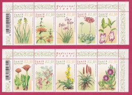 SOUTH AFRICA, 2000, MNH Sheet , Medicinal Plants,  Sa 1262-1271, #9080 - Neufs