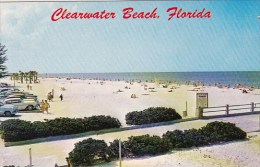 Florida Clearwater Beach White Sands Of Clearwater Beach - Clearwater