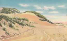 USA, Sand Dunes, Cape Cod, Mass, Unused Postcard [16554] - Cape Cod