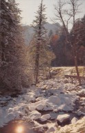 USA, Snow, A Small Stream, Great Smoky Mountains National Park, Unused Postcard [16559] - USA National Parks
