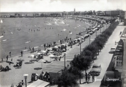 Fano. Spiaggia - Fano