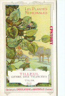 TILLEUL < GENRE Des TILLIACÉES - TILIA  ARBRE PLANTE - PLANTES MEDICINALES - PUBLICITE CHOCOLAT AIGUEBELLE - SCAN DOS - Trees
