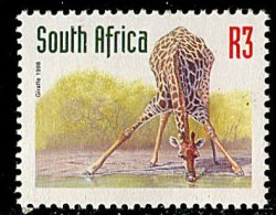 (cl.12 - P.27) Afrique Du Sud ** N° 1018 (ref. Michel Au Dos) - Girafe - - Giraffen